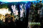 【純玩拼團(tuán)線路6】張家界、黃龍洞、天門山、天子山三晚四日游